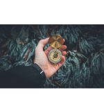 Navigating the AI trade